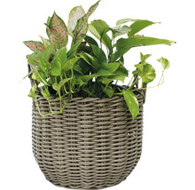 Korg LAFIORA konstrotting Ø44x33cm brun