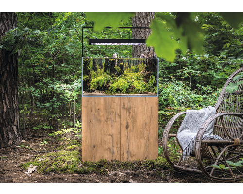 Akvarium med underskåp och växter i naturlig miljö
