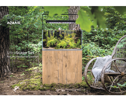 Akvariumset med växter och trägolv i skogen