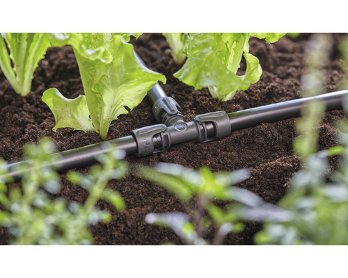 T-koppling för bevattning i trädgårdsrabatten