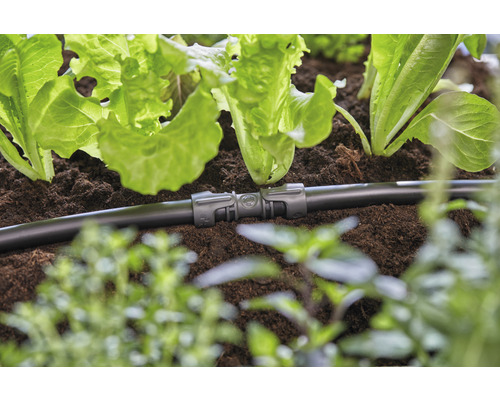 Bevattningssystem med anslutningselement i trädgårdsrabatten