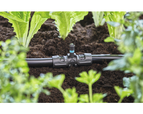 Bevattningssystem med droppare i trädgårdsland mellan växter