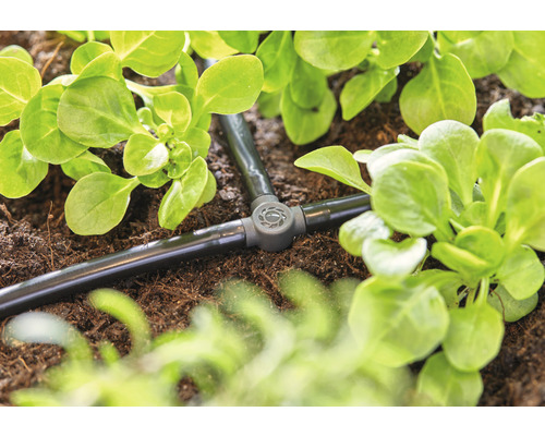 Droppbevattningssystem i trädgården med växter