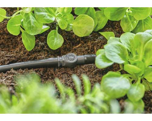 Droppslang med reglerventil mellan växter i trädgården