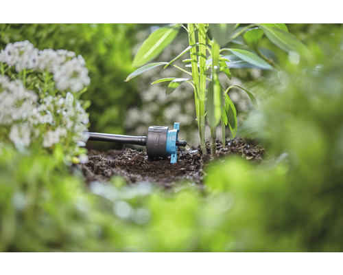 Droppbevattning i trädgårdslandet för bevattning av växter