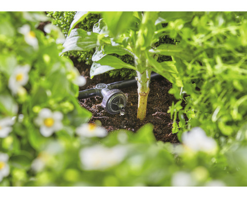 Droppbevattning i trädgårdsrabatten för vattning av växter.