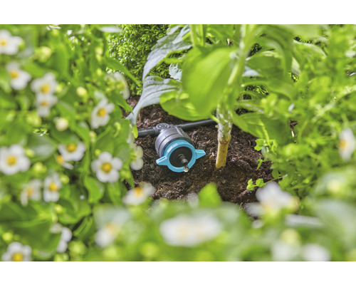 Droppbevattning i en trädgårdsbädd för bevattning av växter