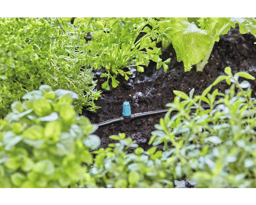 Bevattningssystem med droppare mellan olika växter