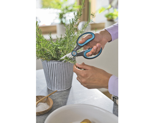 En person klipper rosmarin med en örtsax från Gardena.