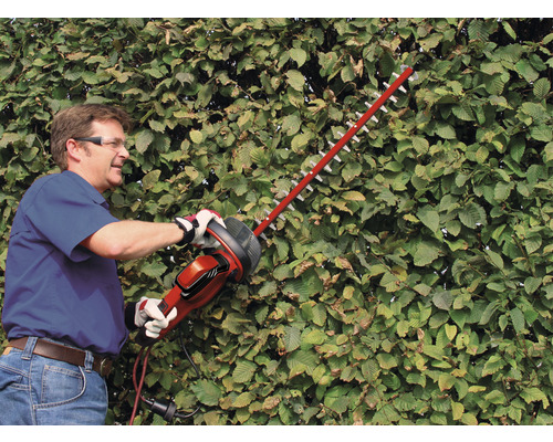 Man klipper häck med en häcksax