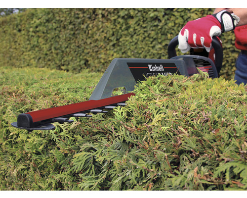 Einhell häcksax vid häcktrimning