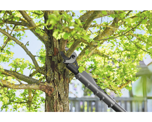 Grensåg används på ett träd i trädgården.