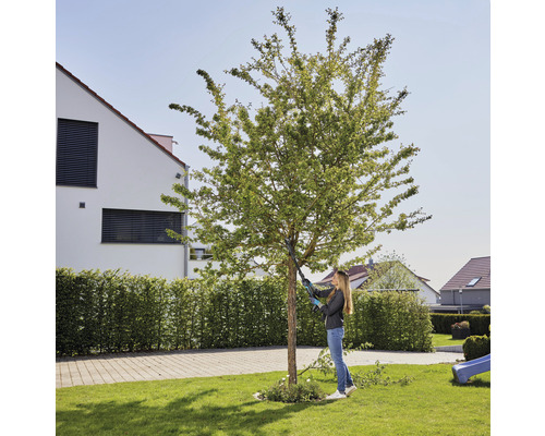 Kvinna beskär träd med en trädgårdssax i trädgården.