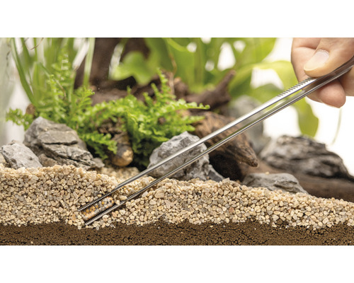 Dekorativt terrarium med växter, stenar och grus, bearbetat med pincett.