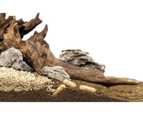 Akvariedekoration med rottträ, stenar, grus, bottenmaterial och gödningskapslar