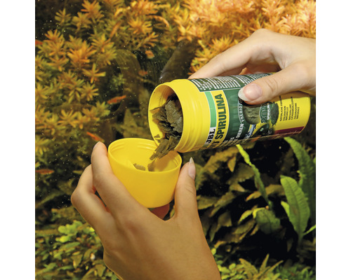 Fiskmat hälls från en JBL-burk i ett lock