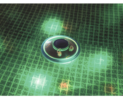 Rund övervakningskamera på ett rutnät