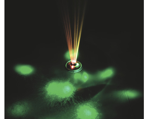 Dekorativ ljusprojektion med färgmönster