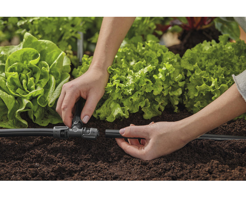 Installation av ett bevattningssystem för trädgården med salladsplantor