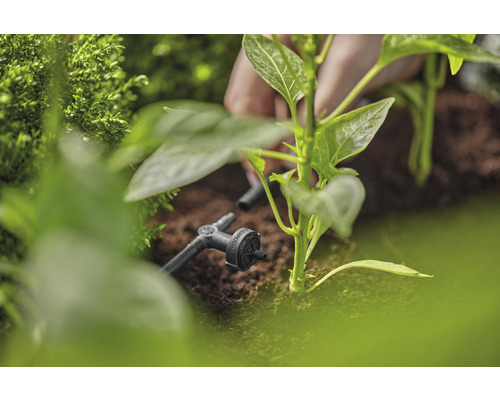 Droppbevattning med regler- och avstängningsventil för växter