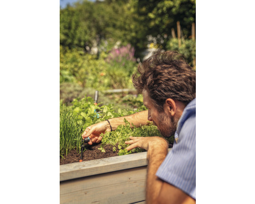 Man installerar ett bevattningssystem i en upphöjd rabatt med örter och växter.