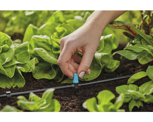 Närbild av en person som fäster en droppare på ett bevattningssystem i grönsaksträdgården