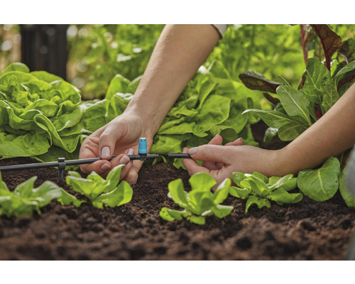 Installation av bevattningssystem i trädgårdslandet