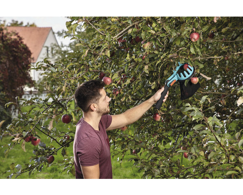 En man skördar äpplen med en äppelplockare i trädgården.