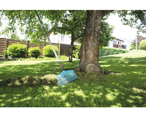 Trädgård med gräsmatta, träd och kratta för trädgårdsarbete