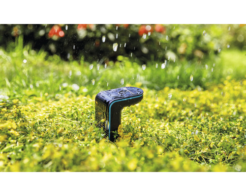 Vattning i trädgården med en smart bevattningsdator