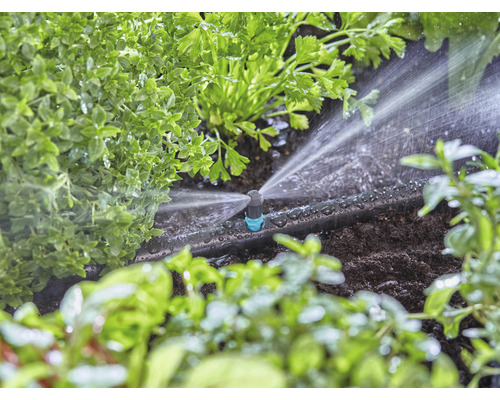 Bevattningssystem i bruk mellan växter i trädgården