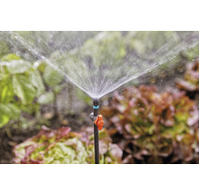 Trädgårdsscen med en sprinkler för bevattning av växter