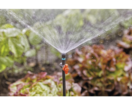 Trädgårdsscen med en sprinkler för bevattning av växter