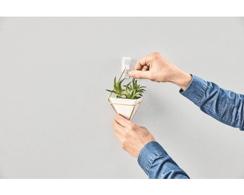 Person som fäster väggdekoration med krukväxt på en självhäftande krok.