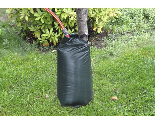 Trädbevattningssäck på träd med vattenslang i trädgården.