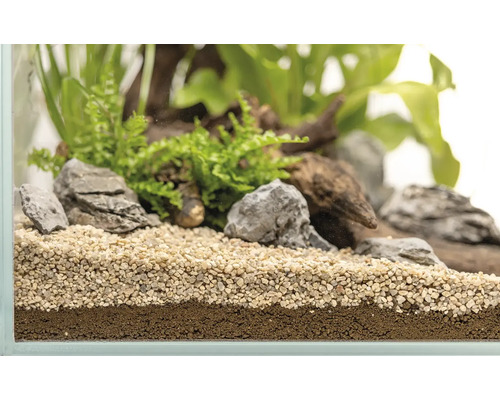 Akvarium med bottenmaterial, stenar, rotved och växter