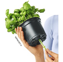 Blumentopf Lechuza Cube Glossy Green Wall 14x14x48cm plast vit inkl. hållare