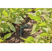 Gardena Smart Sensor i trädgården för mätning av markfuktighet