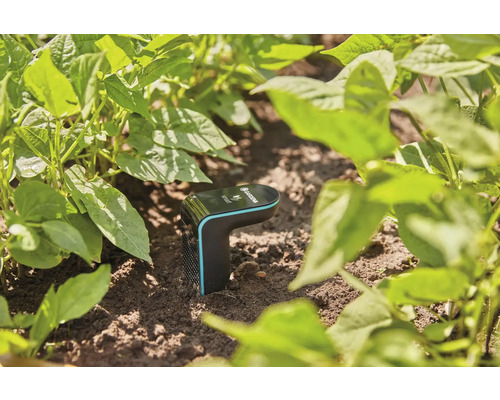 Gardena Smart Sensor i trädgården för mätning av markfuktighet
