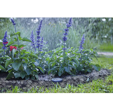 Markfuktsensor GARDENA-thumb-5
