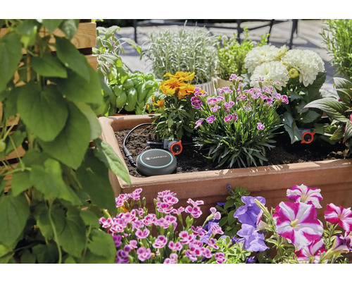 Gardena Smart bevattningssystem i en blomlåda med olika växter