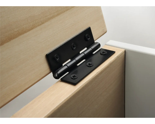 Metallgångjärn på ett träskåp