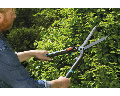 En person klipper en häck med en häcksax.