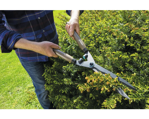 En person klipper en häck med en häcksax.