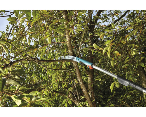 Trädgårdssåg med teleskopskaft som sågar en gren