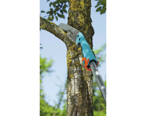 En grensax sågar en gren på ett träd.