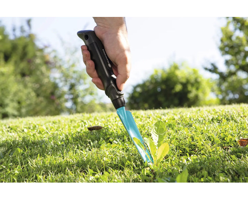 Ogräsjärn används för att ta bort ogräs i gräsmattan.