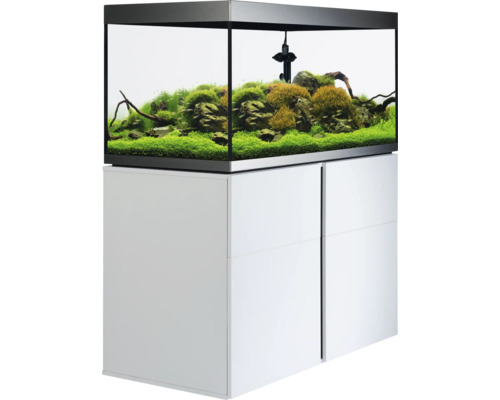 Akvarium med underskåp och inredning