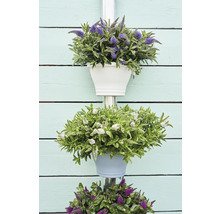 Dekorativ blomsterampel med olika blommor i krukor