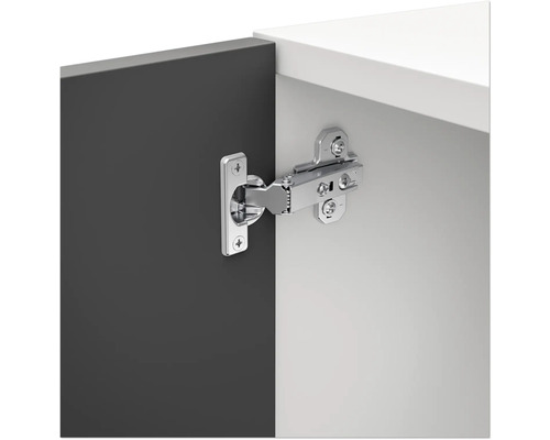 Gångjärn på en möbel- eller skåpdörr